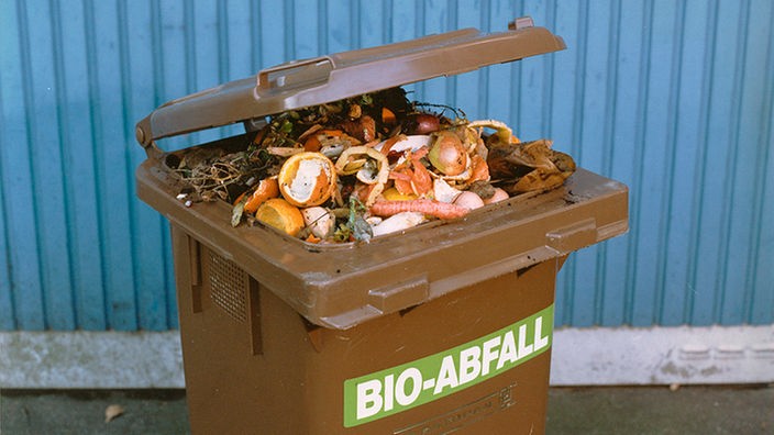 Offene Biotonne mit Müll