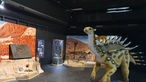Ein Saurier-Modell ist in der Ausstellung über die Entwicklung der Saurier im Galileo-Park zu sehen