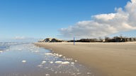 Wasserkante und der schmale Strand mit der vom Sturm beschädigten Dünenkette im Nordosten der Insel Borkum.