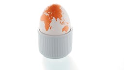 Ein Ei in einem Eierhalter, auf dem der Globus gezeichnet wurde.