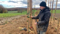 Der Land Art-Künstler Andy Goldsworthy bei Pflanzarbeiten für sein Projekt "Hedge Walk" in Nieheim. 