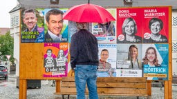Ein Mann mit rotem Regenschirm blickt auf eine Wand mit Wahlplakaten verschiedener Parteien im Vorfeld der Landtagswahl in Bayern.