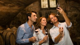 Drei Menschen vmit Weingläsern in den Händen stehen in einem Gewölbe und begutachten Wein im Gegenlicht.