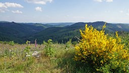 Der Wanderweg "Weitblick" in Bad Berleburg-Richstein
