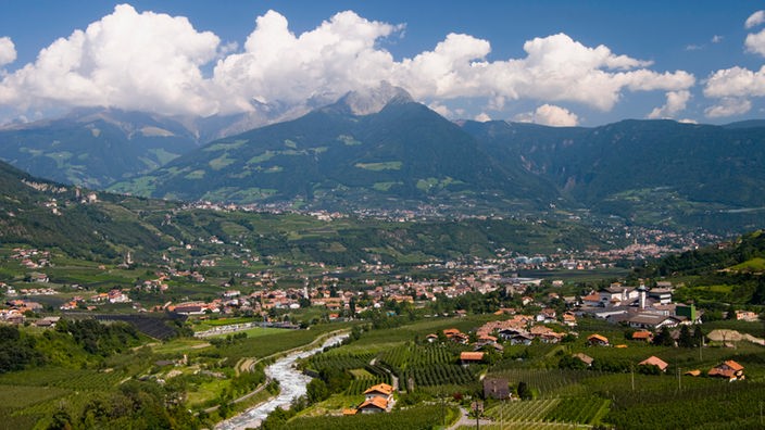 Blick über Meran in Südtirol, im Hintergrund die Alpen