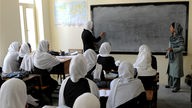 15 Mädchen mit Kopftuch sitzen in einem Klassenzimmer und blicken auf die Tafel