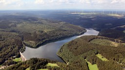 Das Beitragsbild Dok5 "Grüne Adern" zeigt die Oleftalsperre in der Eifel. 