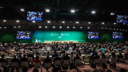 Delegierte nehmen an der Eröffnungszeremonie des COP28-Klimagipfels der Vereinten Nationen in Dubai teil, 30.11.2023.