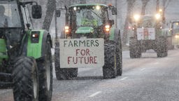 Während einer Demonstration in Düsseldorf haben Landwirte bei einem Traktor ein Schild mit der Aufschrift "Farmers For Future" befestigt. 