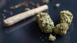 Getrocknetes Cannabis und ein gerollter Joint