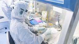 Ein Mitarbeiter in einem Labor des Fraunhofer-Institut für Zelltherapie und Immunologie während der Arbeit. 
