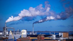 Symbolbild: Rauch steigt aus Schornsteinen von holzverarbeitenden Industriebetrieben am Seehafen Wismar auf (2022)