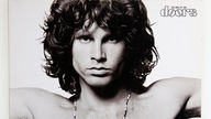 The Best of The Doors, album cover