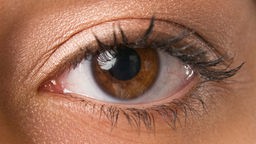 Nahaufnahme: Direkter Blick aus dem braunen Auge einer jungen Frau