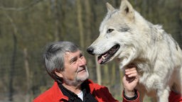 Kurt Kotrschal mit Kanadischerm Grauwolf-Rüden Chitto