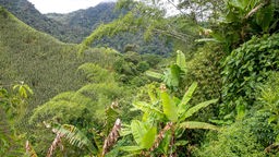 Im Intag-Tal in Ecuador kämpfen Naturschützer gegen die Zerstörung durch eine Kupfermine 
