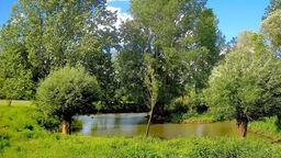 Ausflugstipps zu Flusslandschaften in NRW: Der Emsradweg im Münsterland
