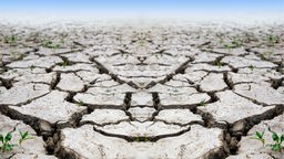 Symbolbild für Klimakrise: durch Trockenheit aufgeplatzte Erde