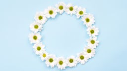 Symbolbild für Pazifismus - Kranz aus weißen Blüten vor blauem Hintergrund