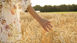 Eine Frau in einem Blumenkleid, von der nur der Oberkörper von hinten zu sehen ist, streicht mit ihrer Hand über die Spitzen eines Weizenfeldes