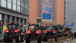 Belgische Bauern protestieren in Brüssel, Belgien, 26.02.2024.