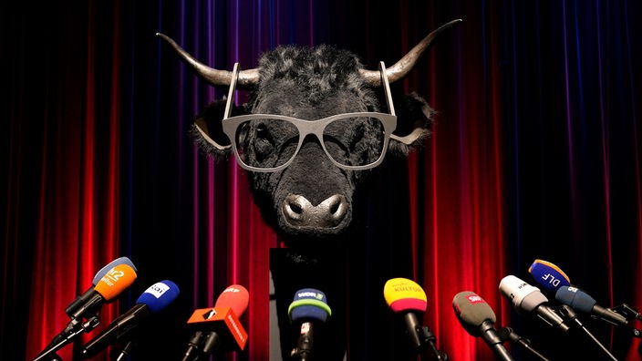 Der "Salzburger Stier" bei seiner Pressekonferenz.