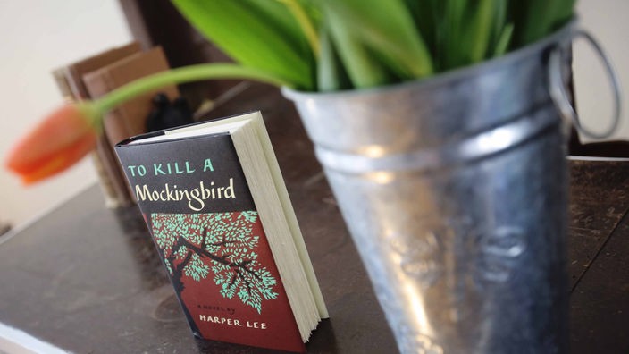 Ein Exemplar des Buches "To Kill a Mockingbird" von Harper Lee