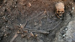  Ein undatiertes Foto zeigt das Skelett des englischen Königs Richard III. Forscher fanden die Knochen des Königs unter einem Parkplatz in der Stadt Leicester. 