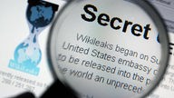 Die Homepage von Wikileaks