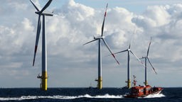 Windräder des Offshore-Windparks "Baltic 1"