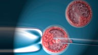 Embryonale Stammzellen werden im Labor manipuliert