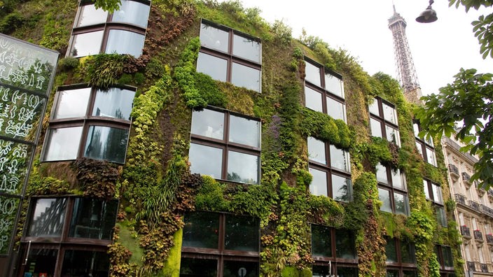 Grüne Fassade des Pariser Museums für außereuropäische Kulturen 