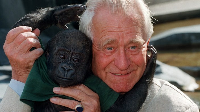 Sielmann mit jungem Gorilla