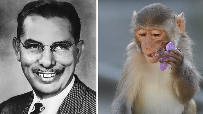 Alexander Solomon Wiener (1907-1976), US-amerikanischer Serologe; entdeckte zusammen mit Karl Landsteiner 1940 den Rhesusfaktor