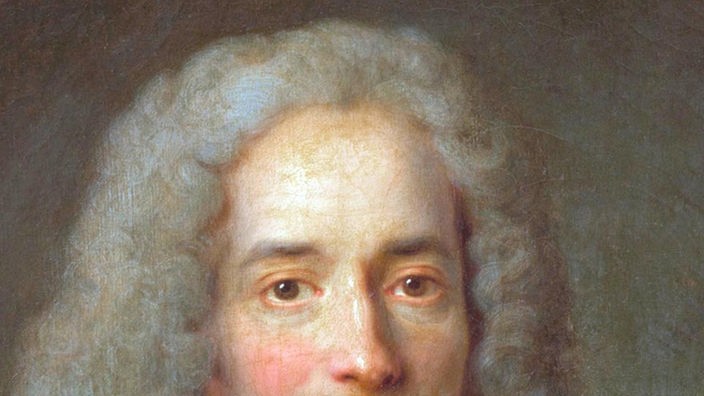 Voltaire, Gemälde um 1730