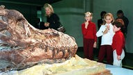 Eine Familie betrachtet am 2. Oktober 1997 den Schädel eines Tyrannosaurus Rex bei Sotheby's in New York