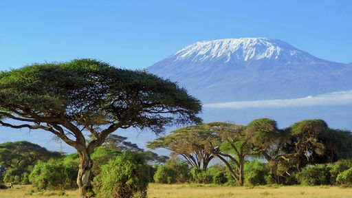 Auf dem Bild ist der Kilimandscharo zu sehen.