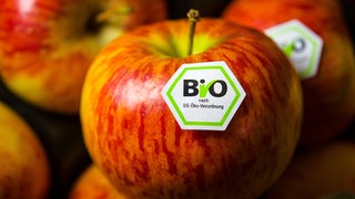Das Bild zeigt Äpfel mit Bio-Siegel.
