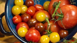 Ein Sieb mit bunten Tomaten
