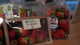 Das Bild zeigt verpackte Erdbeeren von verschiedenen Herstellern.