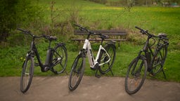Das Bild zeigt drei gebrauchte E-Bikes in einem Park.