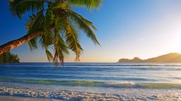 Das Bild zeigt: Einen Strand auf den Seychellen.