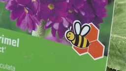 Das Bild zeigt eine Verpackung mit einer gezeichneten Biene als Logo.