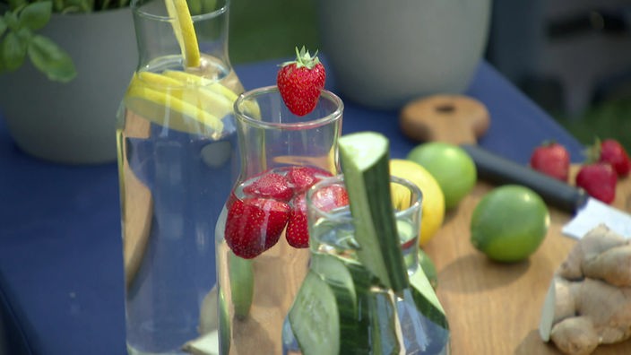 Das Bild zeigt sommerliche Getränke in Glasflaschen.