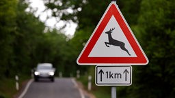 Ein rotes "Achtung Hirsch"-Schild ist aufgestellt. Im Hintergrund sieht man ein fahrendes Auto.