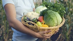 Das Bild zeigt eine Person, die einen Korb mit frisch geerntetem Gemüse in der Hand hält.