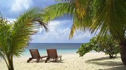 Zwei Liegestühle zwischen zwei Palmen an einem Strand mit Meerblick.