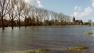 Bei Weeze stehen Bäume im Wasser beim Hochwasser der Niers, 2002