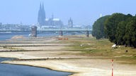 Bildmontage zeigt den Rhein bei Köln bei Niedrigwasser und bei Hochwasser, 2003