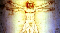 Zeichnung von Leonardo da Vinci